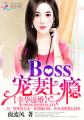 ���бƻ飺Boss�������