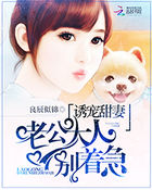 婚后甜爱:高冷老公呆萌妻