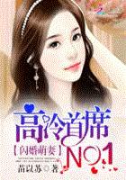 闪婚萌妻:高冷首席NO.1